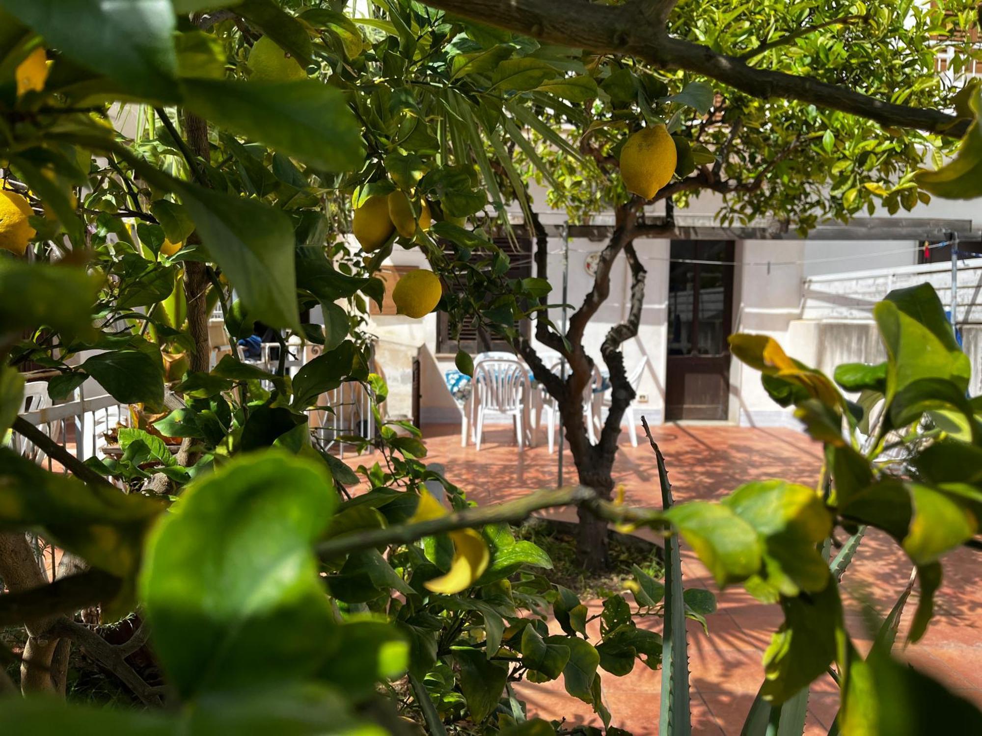 Apartmán Casa Ciccio San Vito Lo Capo Exteriér fotografie
